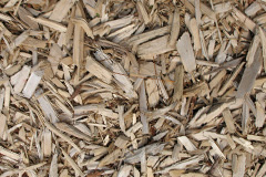 biomass boilers Radipole